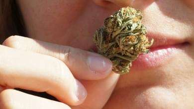 Top Seven Cannabis Industry Trends of 2022