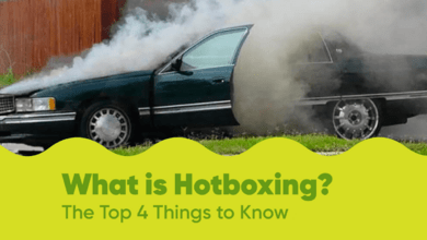 What is Hotboxing? Top 4 Things to Know About Hotboxing