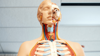 Why Isn't the Endocannabinoid System in the Med School Curriculum?