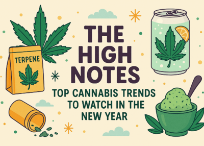 The High Notes: Top Cannabis Trends to Watch in the New Year