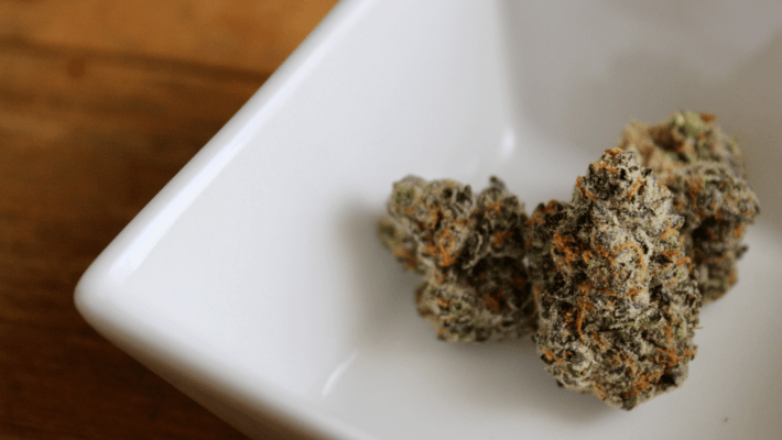 Top 5 Compliance Tips for Dispensaries