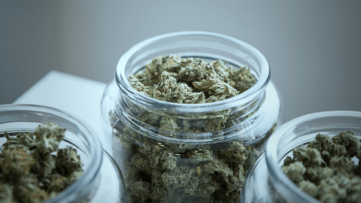 10 Best Marijuana Strains of All Time