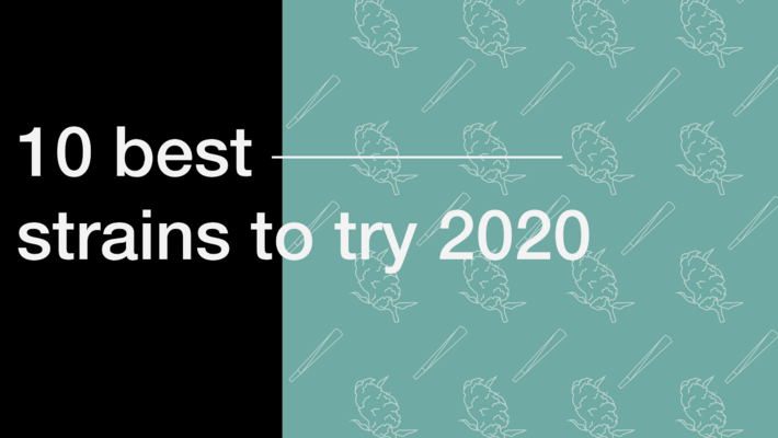 10 Best Strains to Try in 2020