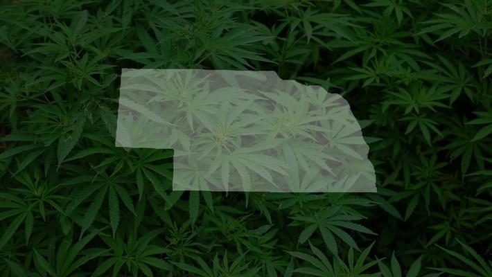 130,000 signatures needed to put medical marijuana on 2020 ballot