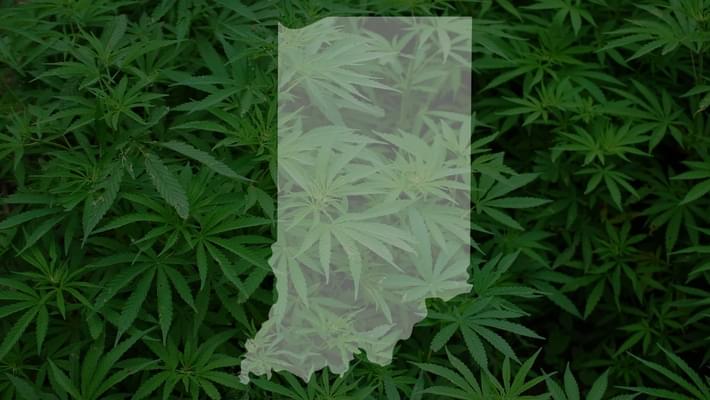2 marijuana bills filed at Statehouse so far, including 1 for partial legalization