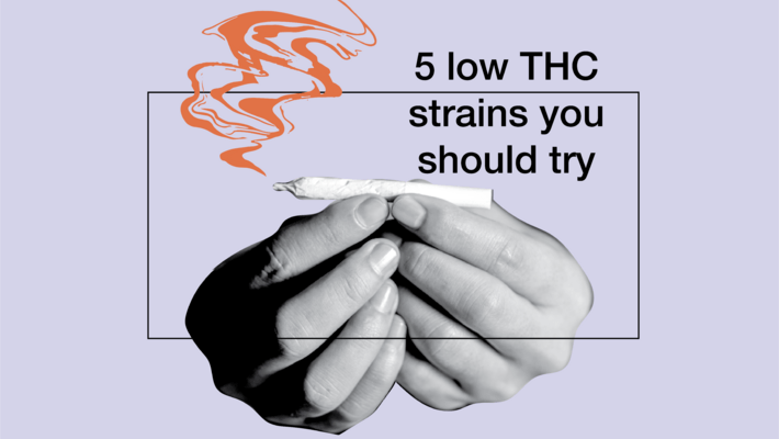 5 Low-THC Strains You Should Try