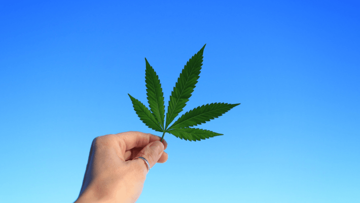 6 Ways to Make Your Dispensary More Sustainable