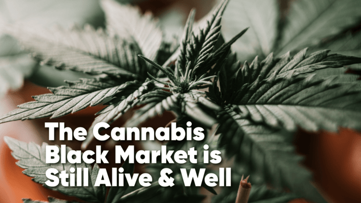 A Cannabis Black Market is Still Alive & Well