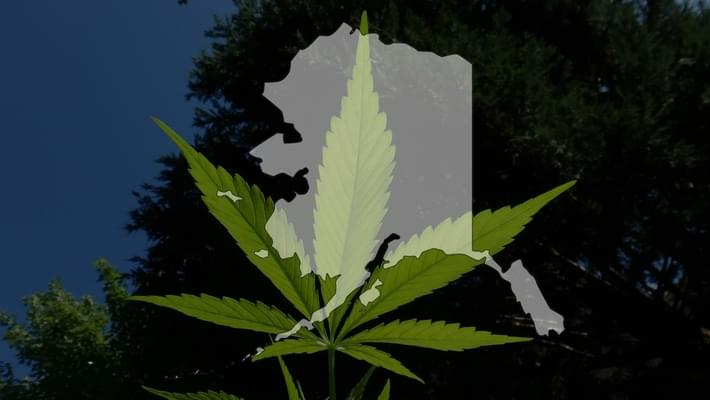 Alaska marijuana regulators to revisit onsite pot use debate