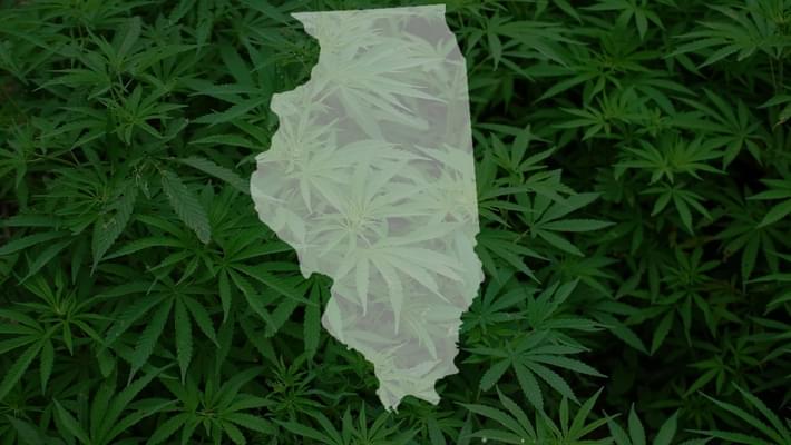 An Opioid Prescription In Illinois Could Be A Ticket For Medical Marijuana