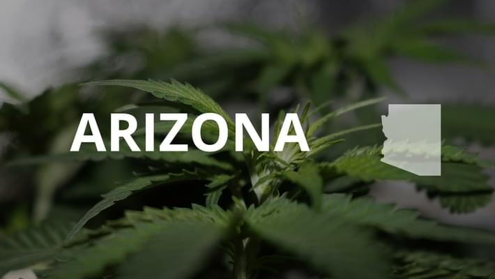 Arizona AG Wants Court to Reinstate Ban on Medical Marijuana on College Campuses