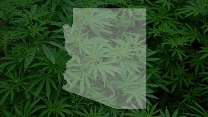 Arizona Legislature Ready to Approve Using Medical Marijuana to Treat Opioid Abuse