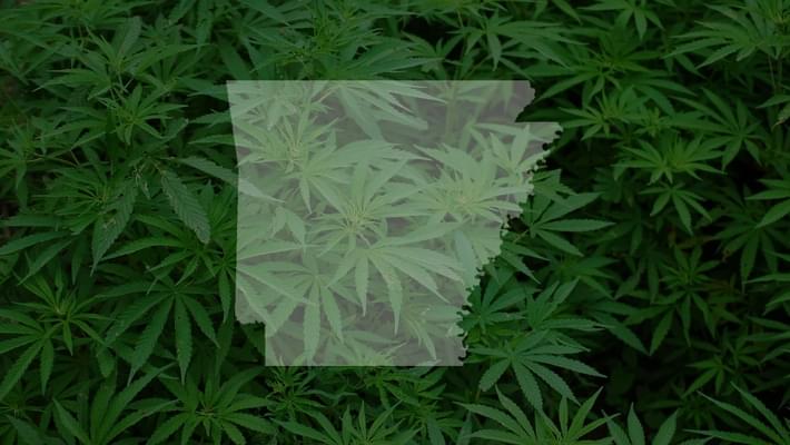 Arkansas judge tosses stateâ€™s medical marijuana licensing process