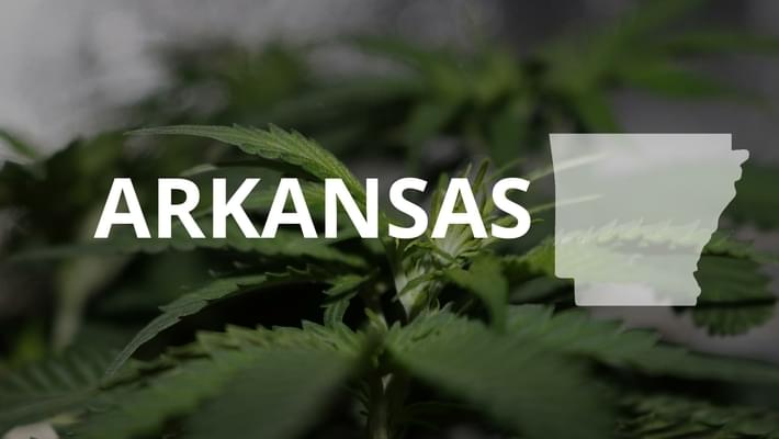 Arkansas nears medical marijuana license deadline