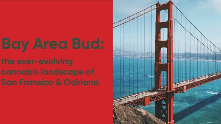 Bay Area Bud: The Ever-Evolving Cannabis Landscape in San Francisco & Oakland