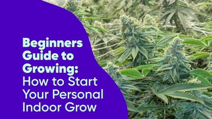 Beginner's Guide to Growing: How to Start Your Personal Indoor Grow 