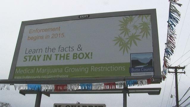 Big, bold message to marijuana growers