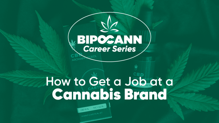 BIPOCANN Career Series: How to Get a Job at a Cannabis Brand