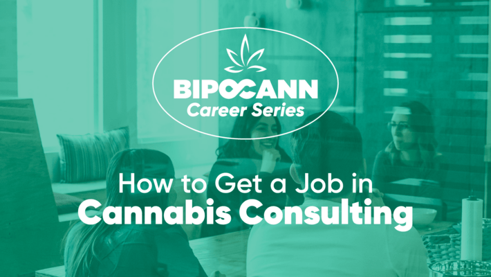 BIPOCANN Career Series: How to Get a Job in Cannabis Consulting