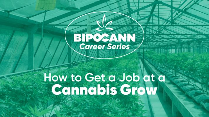 BIPOCANN Career Series: How to Get a Job in Cannabis Growing