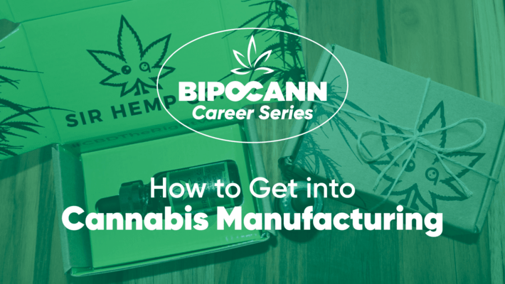 BIPOCANN Career Series: How to Get a Job in Cannabis Manufacturing