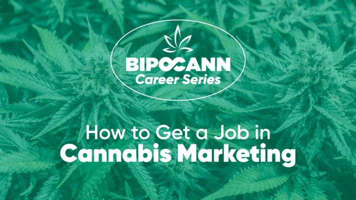 BIPOCANN Career Series: How to Get a Job in Cannabis Marketing 
