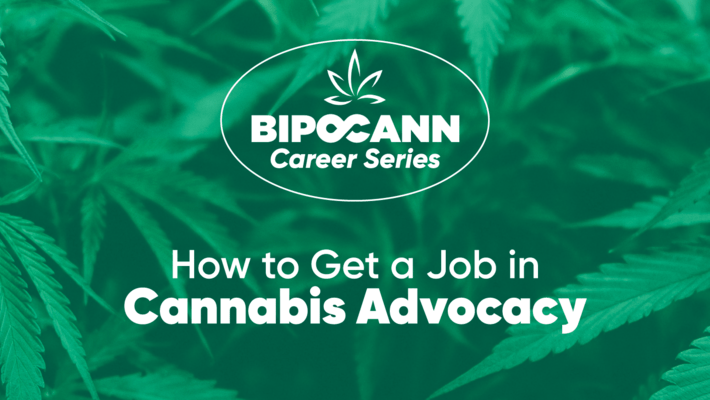 BIPOCANN Career Series: How to Get Into Cannabis Advocacy