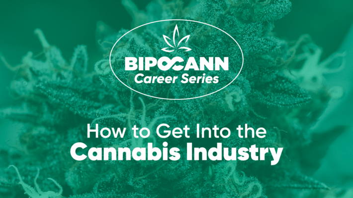 BIPOCANN Career Series: How to Get Into the Cannabis Industry