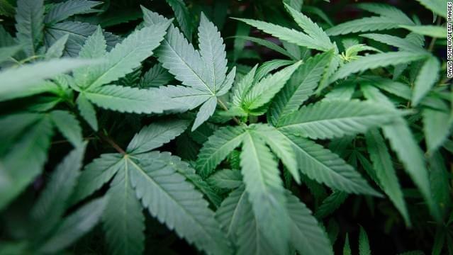 Bloomington Approves Medical Marijuana Distribution Center