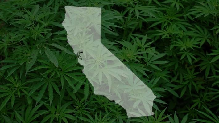 California bans drones from delivering marijuana