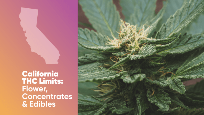 California THC Limits: Flower, Concentrates & Edibles