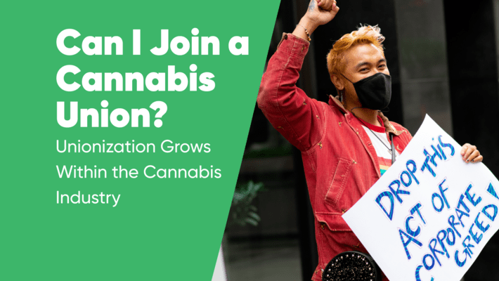 Can I Join a Cannabis Union? Unionization Grows Within the Cannabis Industry