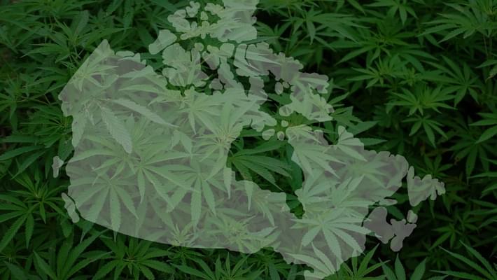 Canada moves one step closer to legalizing recreational marijuana