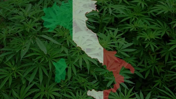 Canada's Aurora to sell medical marijuana to Italy