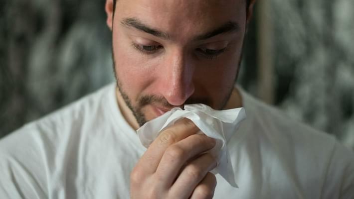 Cannabis and Seasonal Allergies: Does it Help or Hurt Them?
