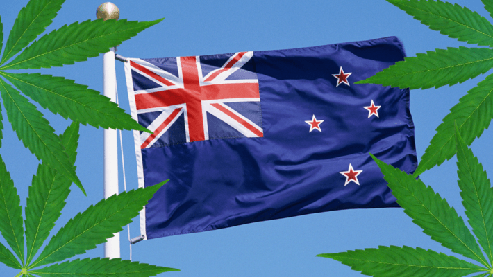 Cannabis Legalization: Will New Zealand Legalize it in 2020?