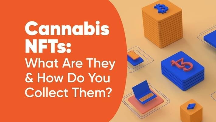Cannabis NFTs: What Are They & How Do You Collect Them?