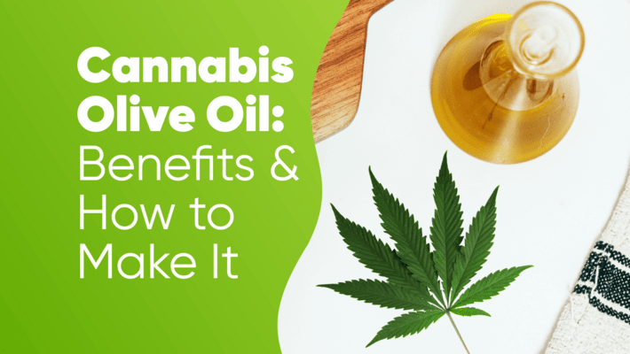 Cannabis Olive Oil: Benefits & How to Make It