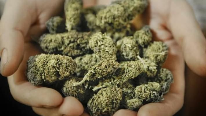 Chile Is About to Decriminalize Marijuana