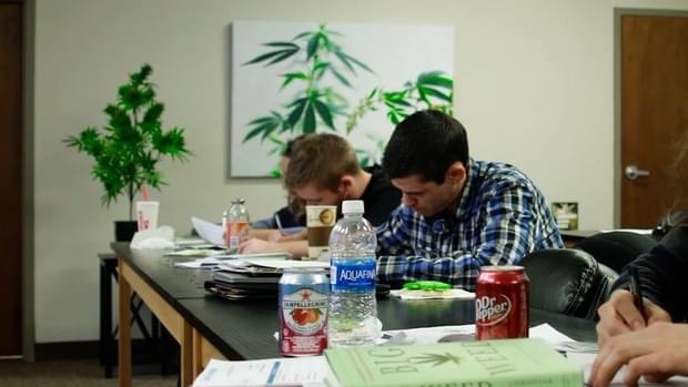 Cleveland Cannabis College opens to educate future Ohio medical marijuana workers