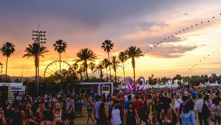 Coachella 'all in' with medical marijuana cultivation