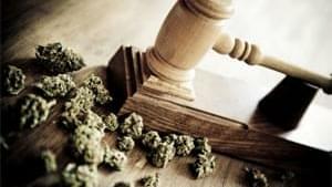  Colorado legalizes Recreation Marijuana with Amendment #64 