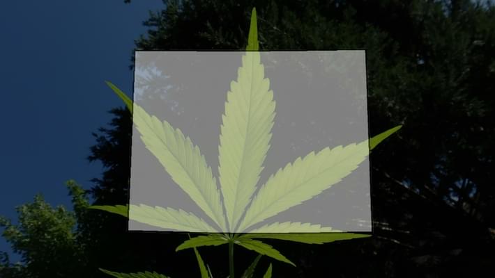 Colorado marijuana sales crack $6 billion since 2014 legalization, state says