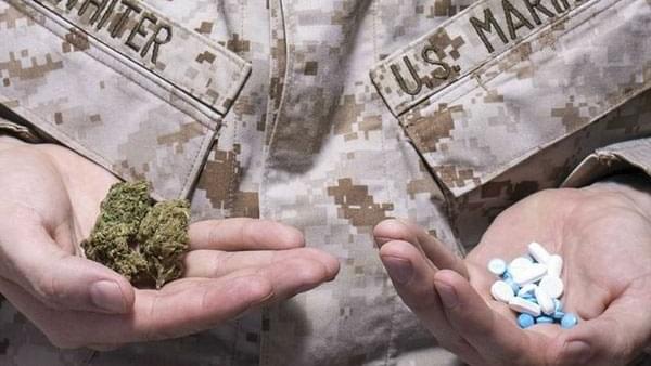 Colorado Springs organization offers free marijuana to veterans