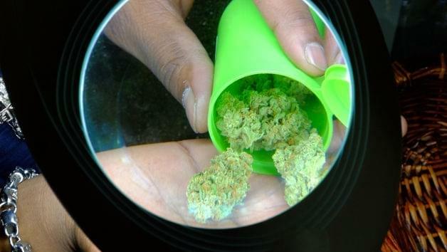 Colorado's Legalized Pot Has U.S. Governors Curious