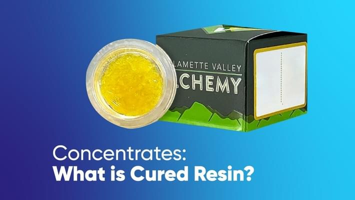 Concentrate 101: What is Cured Resin?