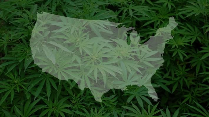 Congressman Issues 'Blueprint To Legalize Marijuana' For Democratic House In 2019