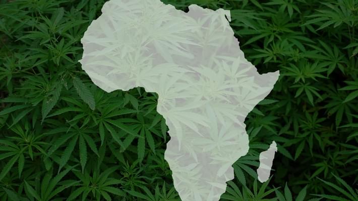 Could Africa be on the verge of a marijuana race?