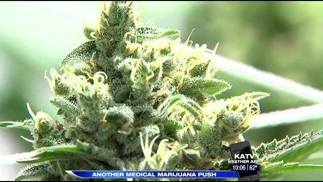 Could Voters see Medical Marijuana on the 2014 Ballot?