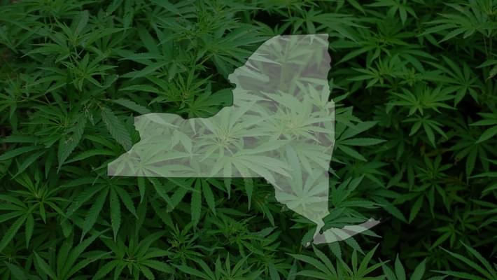 Cuomo unveils plan to legalize recreational marijuana use